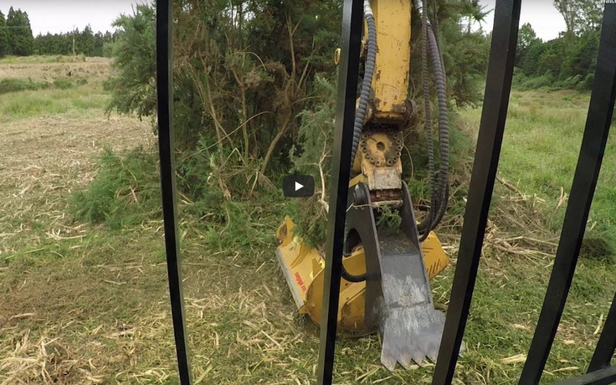 gorse mulching bay of plenty