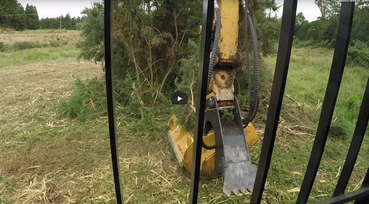 gorse mulching bay of plenty